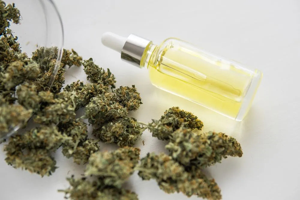 How To Use CBD Tincture: A Beginner's Guide