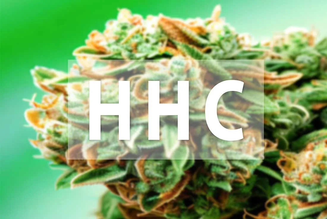 The Rise of HHC Gummies in the Cannabinoid Market