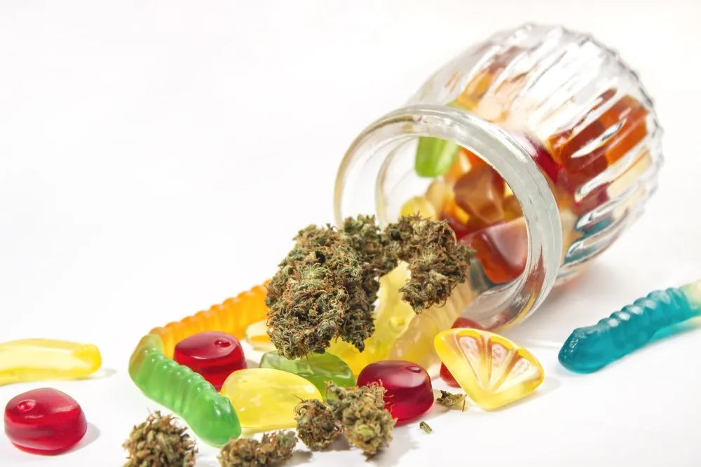 Do Your CBD Gummies Need To Be Refrigerated?